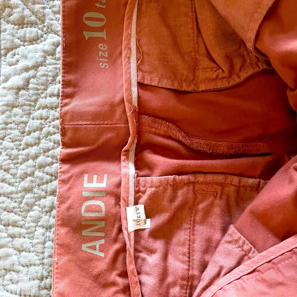 Red clay JCrew chino capri in 10 tall